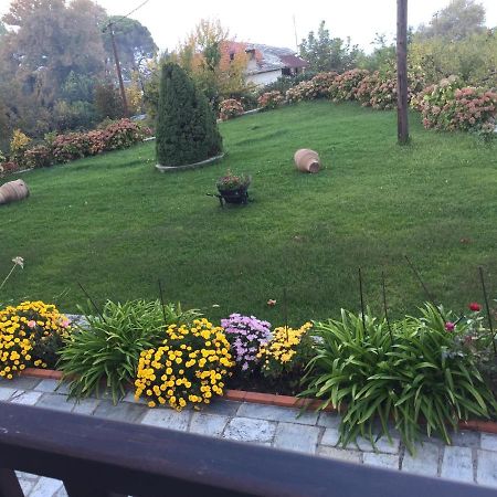 Apartament Timeless Mourésion Zewnętrze zdjęcie